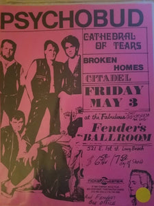 $5 PUNK FLYER - PSYCHOBUD CATHEDRAL OF TEARS