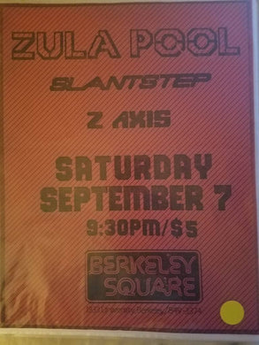 $5 PUNK FLYER - ZULA POOL Z AXIS