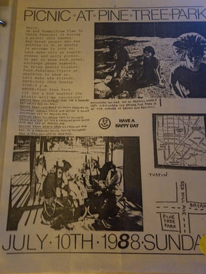 $5 PUNK FLYER - PICNIC AT PINE TREEPARK