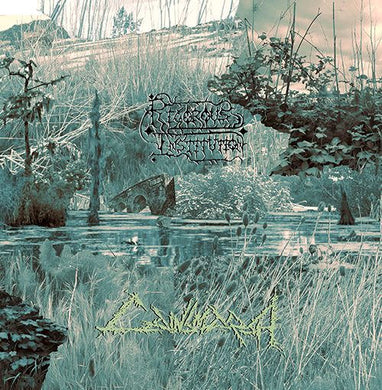 Rigorous Institution - Cainsmarsh NEW LP