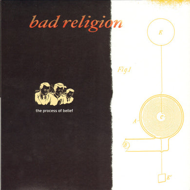Bad Religion - The Process Of Belief USED LP