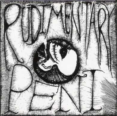 Rudimentary Peni - The E.P.'s Of R.P. USED CD