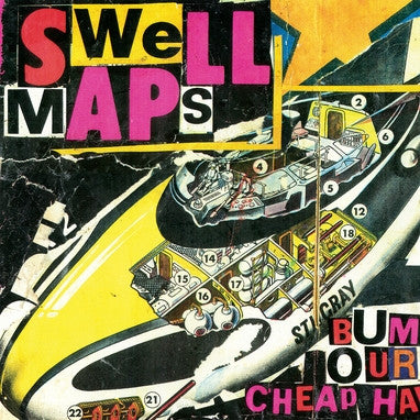 Swell Maps - Wastrels And Whippersnappers NEW LP