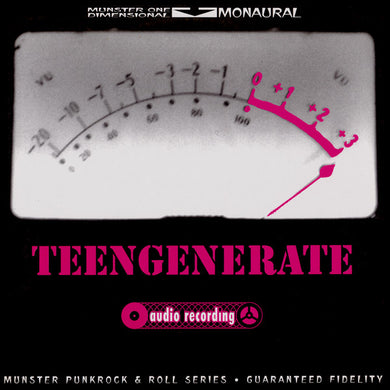 Teengenerate ‎- Audio Recording USED 10
