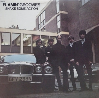 Flamin' Groovies - Shake Some Action NEW LP