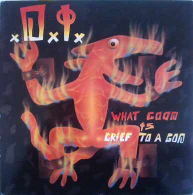 D.I. - What Good Is Grief To A God NEW LP