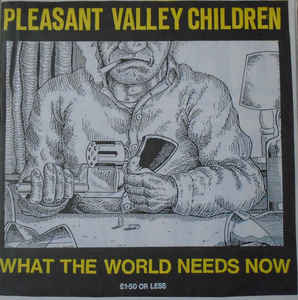 Pleasant Valley Children - What The World Needs Now USED 7"