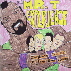 Mr. T Experience ‎- Everybody's Entitled To Their Own Opinion USED LP