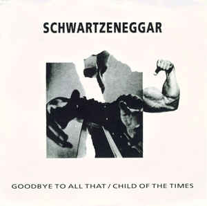 Schwartzeneggar ‎- Goodbye To All That USED 7