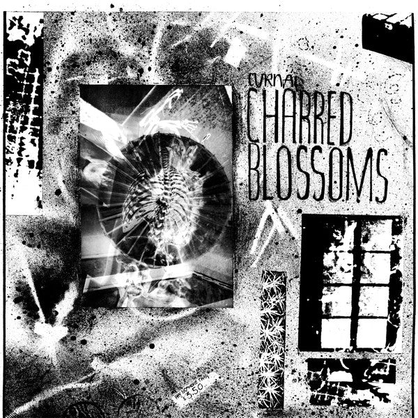 Cyrnai - Charred Blossoms NEW LP