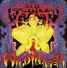 Cult ‎- Wild Flower USED POST PUNK / GOTH LP