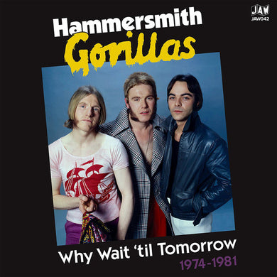Hammersmith Gorillas - Why Wait 'Til Tomorrow 1974 to 1981 NEW 2XLP