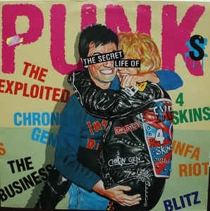Comp - The Secret Life Of Punks USED LP