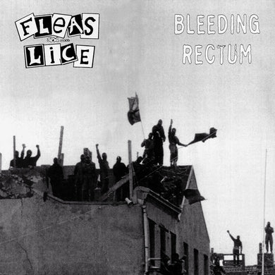 Bleeding Rectum / Fleas And Lice - Split USED LP