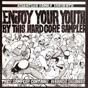 Comp - Enjoy Your Youth By This Hardcore Sampler USED LP