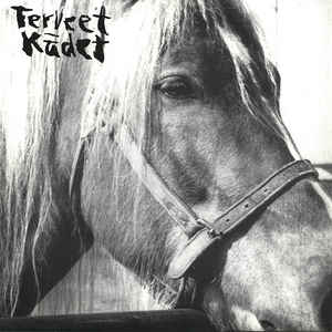 Terveet Kadet - Horse USED 7