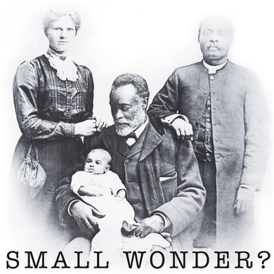 Carpettes - Small Wonder? NEW 7