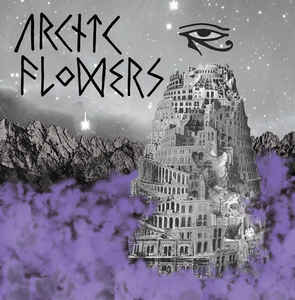 Arctic Flowers - S/T USED POST PUNK / GOTH 7