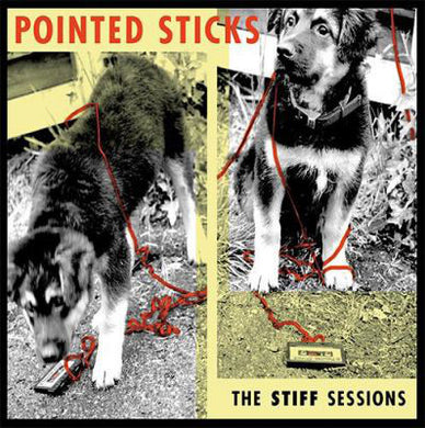 Pointed Sticks - The Stiff Sessions (Japan Import) NEW CD