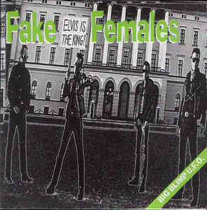 Fake Females - Big Blimp UFO USED 7