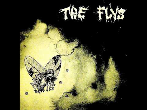 Flys - Self Titled USED LP