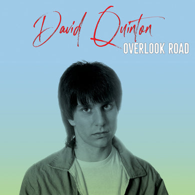 David Quinton ‎- Overlook Road NEW LP