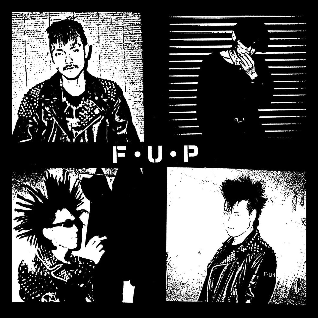 F.U.P. ‎- Noise And Chaos NEW LP