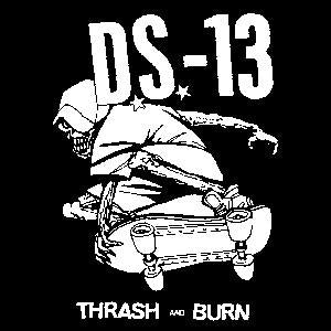 DS 13 sticker