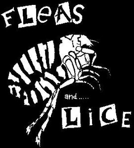 FLEAS AND LICE FLEA patch