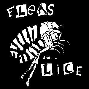 FLEAS AND LICE FLEA sticker