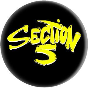 SECTION 5 button (1 inch)