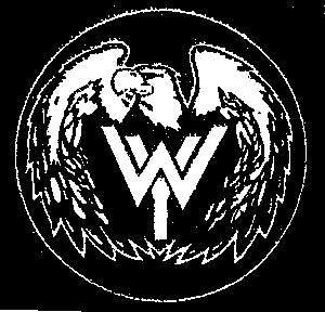 WASTED YOUTH patch – pukenvomitrecords.com